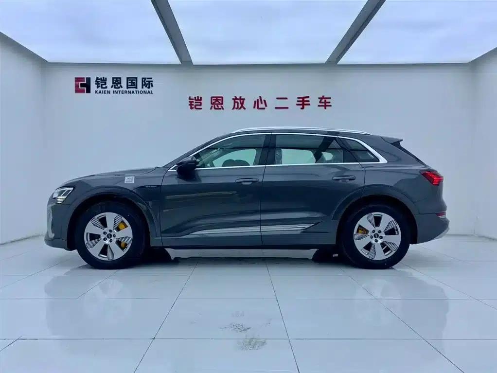 Audi e-tron 2021 50 quattro Luxury — миниатюра 3