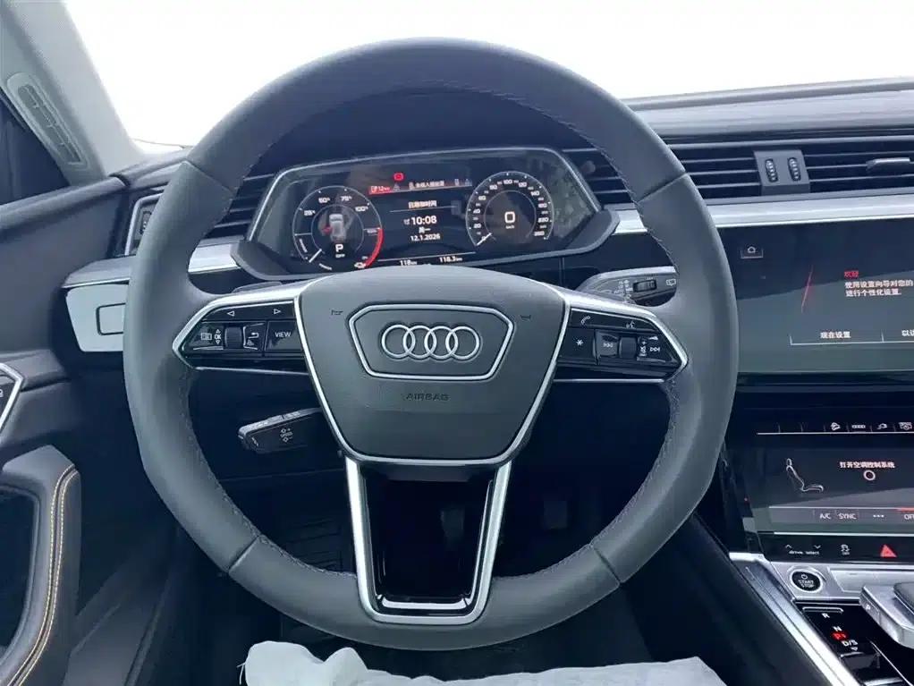 Audi e-tron 2021 50 quattro Luxury — миниатюра 21