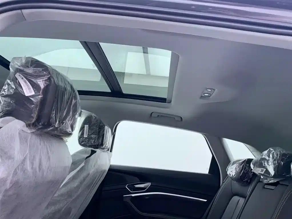 Audi e-tron 2021 50 quattro Luxury — миниатюра 24