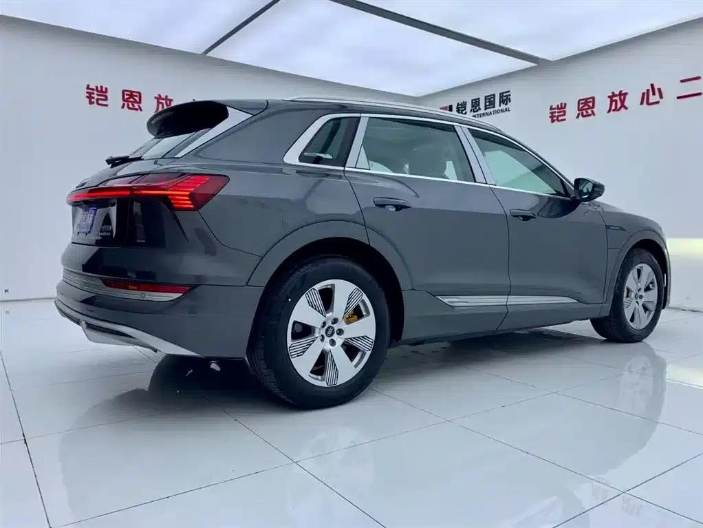 Audi e-tron 2021 50 quattro Luxury — миниатюра 5