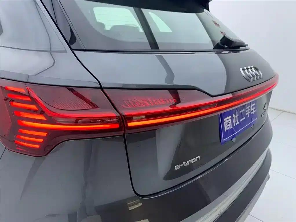 Audi e-tron 2021 50 quattro Luxury — миниатюра 8