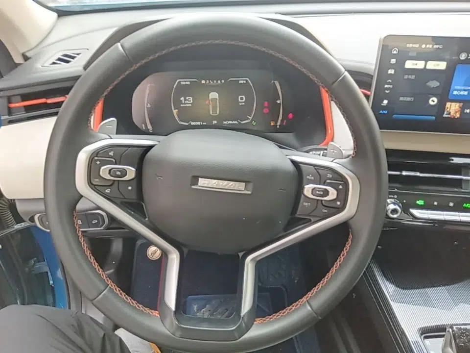 Haval LHERY 2021 High-Performance Version 1.5T Golden Rabbit — миниатюра 14