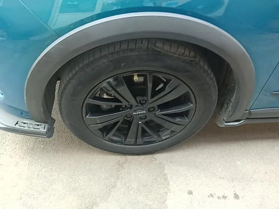 Haval LHERY 2021 High-Performance Version 1.5T Golden Rabbit — миниатюра 8
