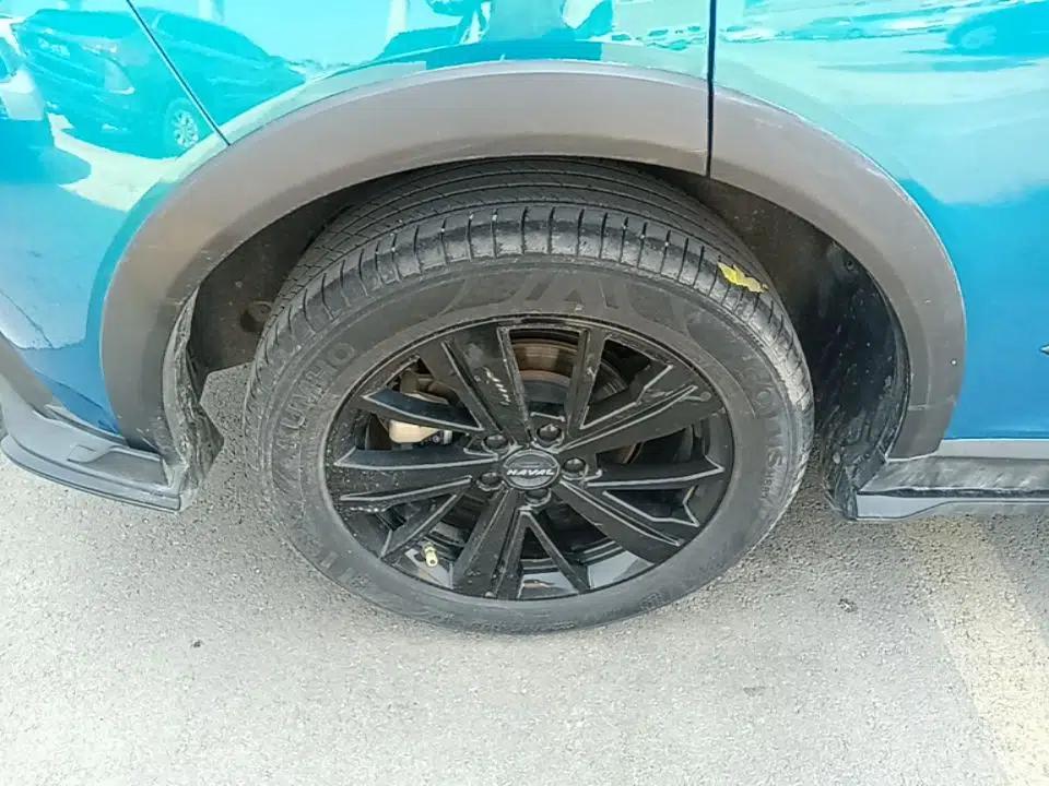 Haval LHERY 2021 High-Performance Version 1.5T Golden Rabbit — миниатюра 10