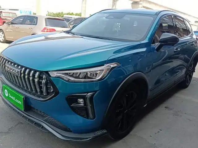Haval LHERY 2021 High-Performance Version 1.5T Golden Rabbit