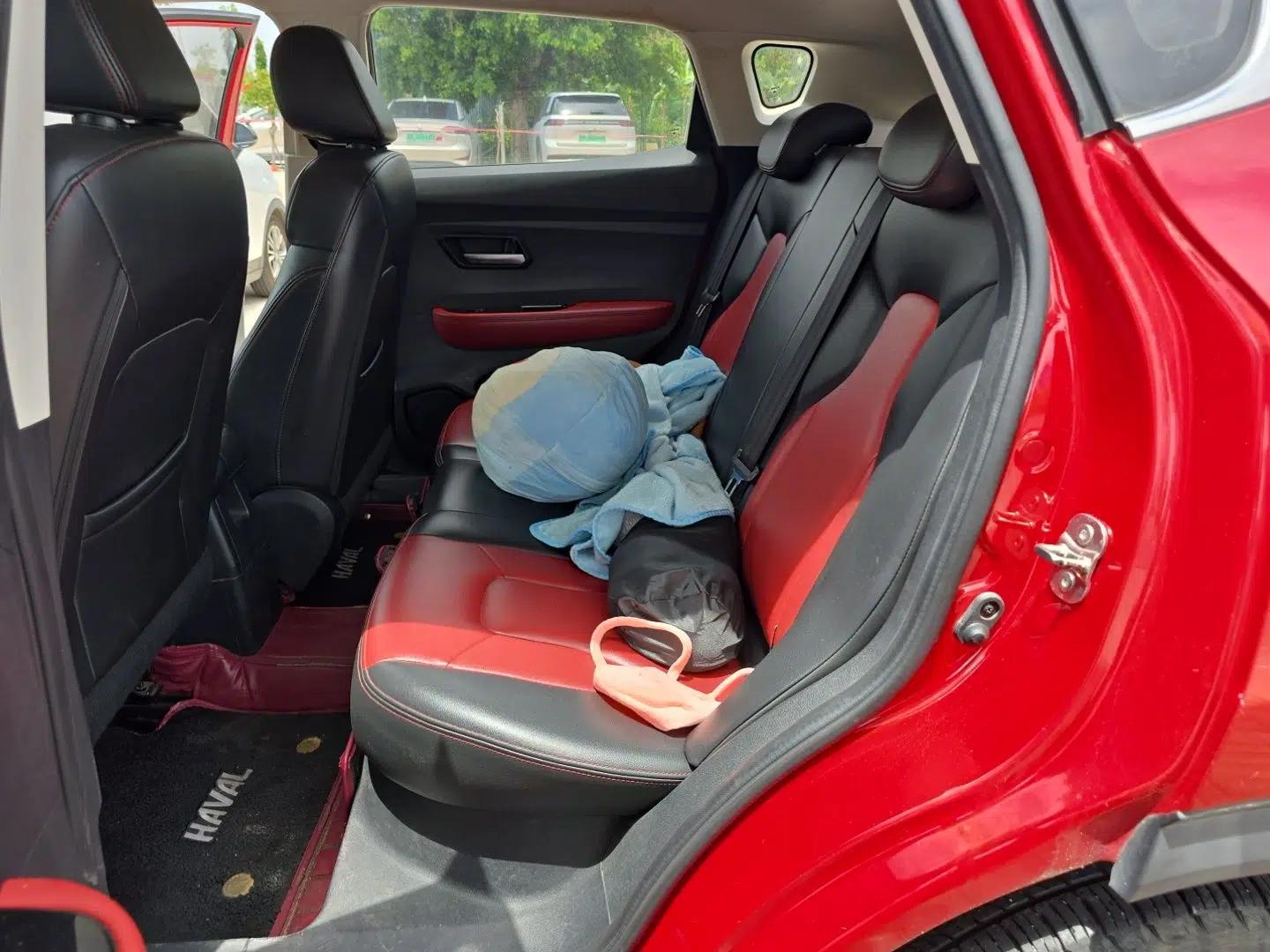 Haval H2s 2018 Red-Label 1.5T Dual-Clutch Luxury Model — миниатюра 18