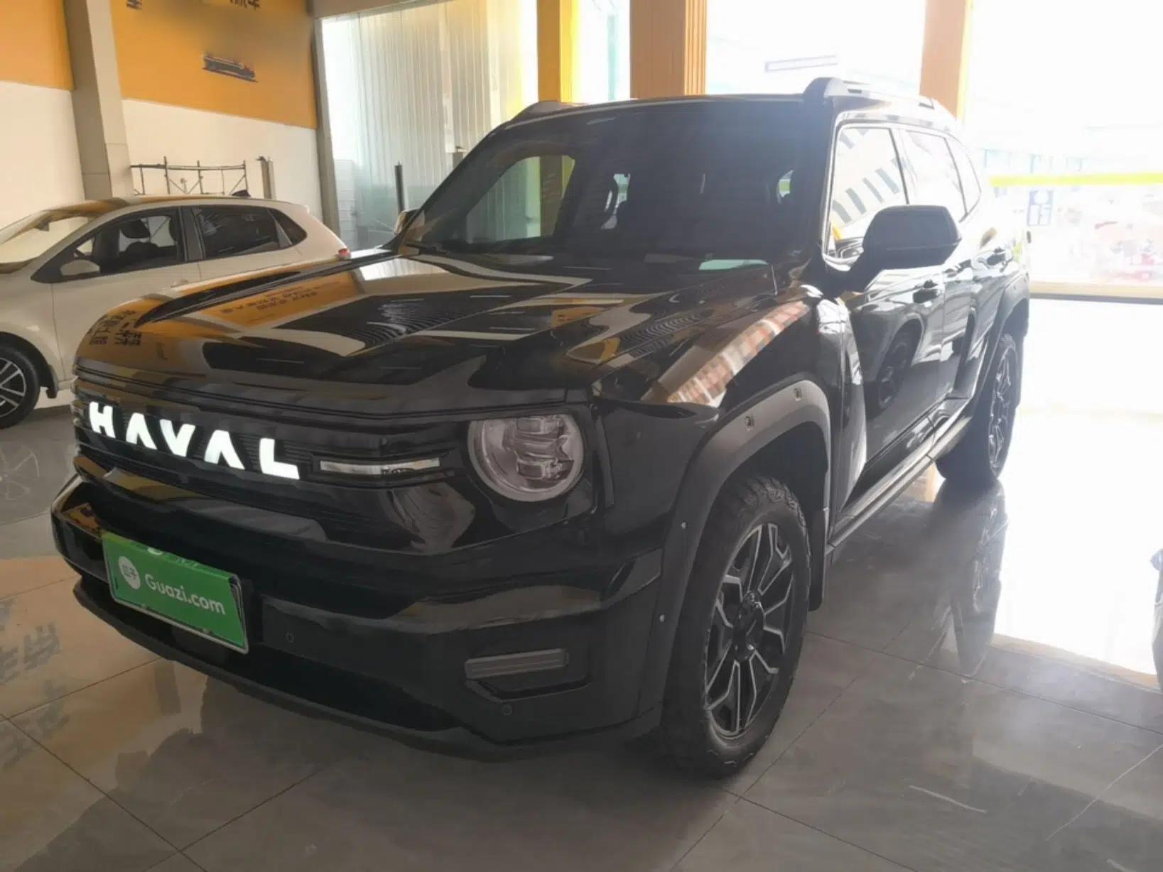 Haval H Dog New Energy 2026 Model Hi4 150km Trendy Electric Edition — миниатюра 1