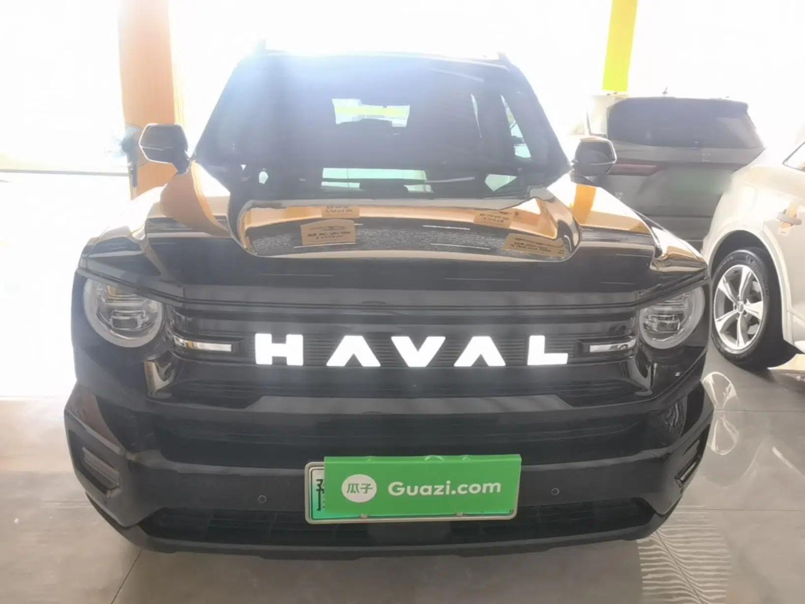 Haval H Dog New Energy 2026 Model Hi4 150km Trendy Electric Edition — миниатюра 2