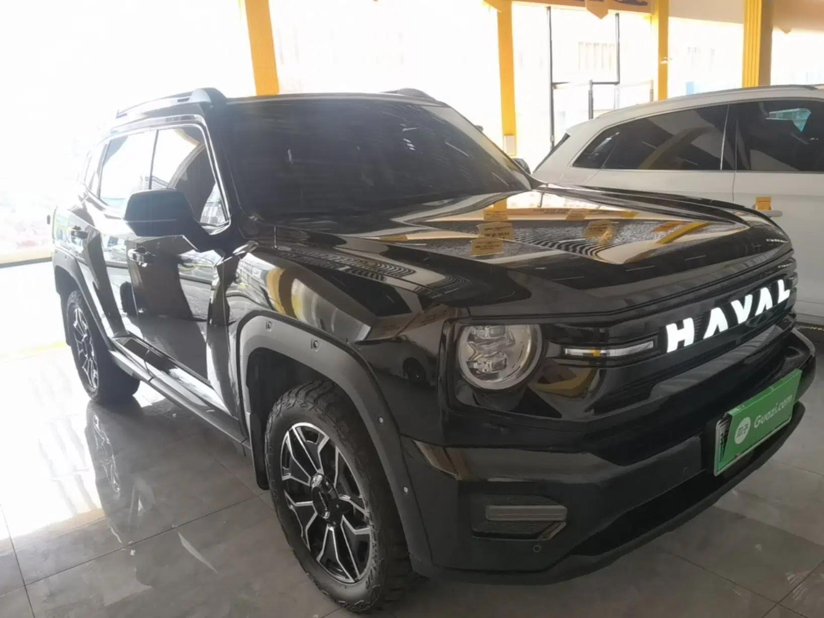 Haval H Dog New Energy 2026 Model Hi4 150km Trendy Electric Edition — миниатюра 3