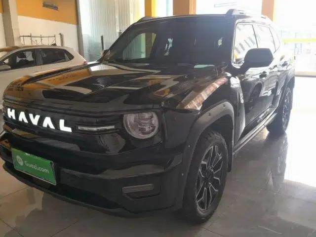 Haval H Dog New Energy 2026 Model Hi4 150km Trendy Electric Edition