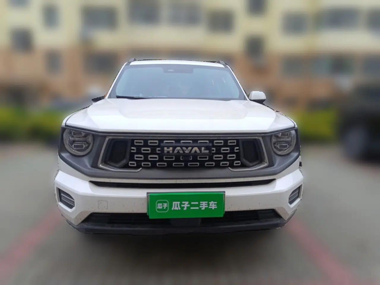 Haval H Dog New Energy 2023 DHT-PHEV 105km Tide Electric Version Plus — миниатюра 2
