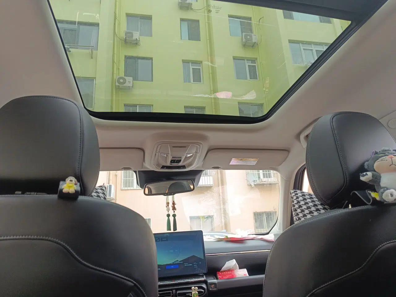 Haval H Dog New Energy 2023 DHT-PHEV 105km Tide Electric Version Plus — миниатюра 19