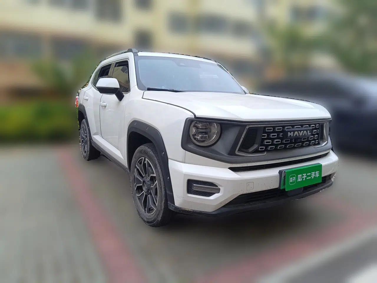 Haval H Dog New Energy 2023 DHT-PHEV 105km Tide Electric Version Plus — миниатюра 3