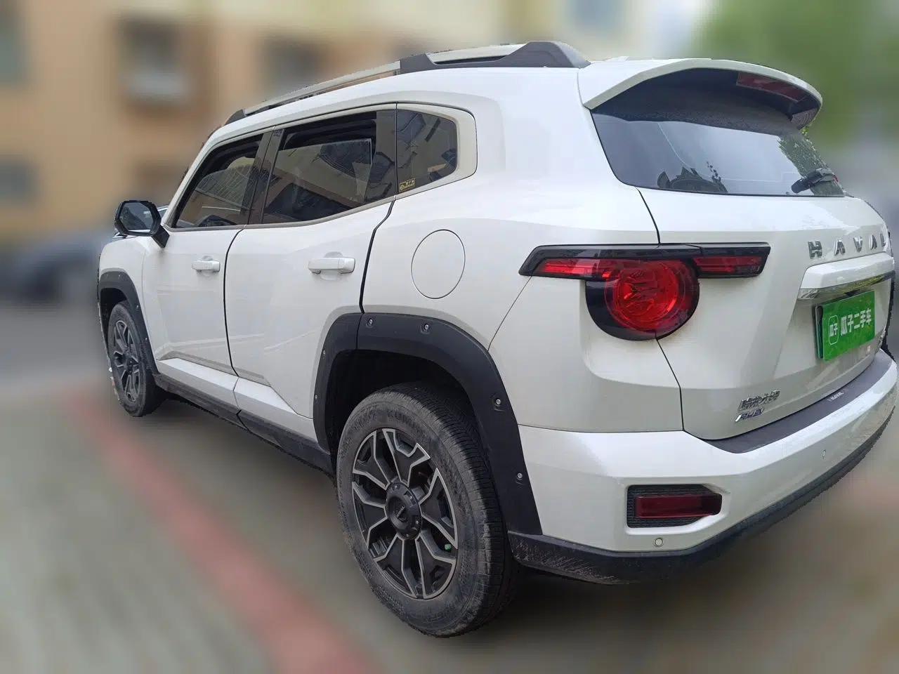 Haval H Dog New Energy 2023 DHT-PHEV 105km Tide Electric Version Plus — миниатюра 4