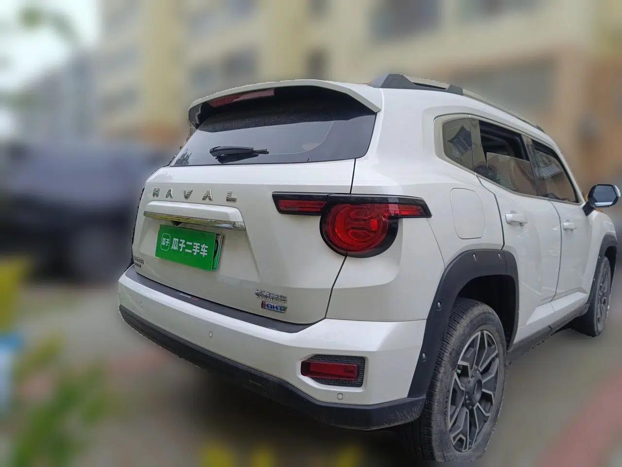 Haval H Dog New Energy 2023 DHT-PHEV 105km Tide Electric Version Plus — миниатюра 6