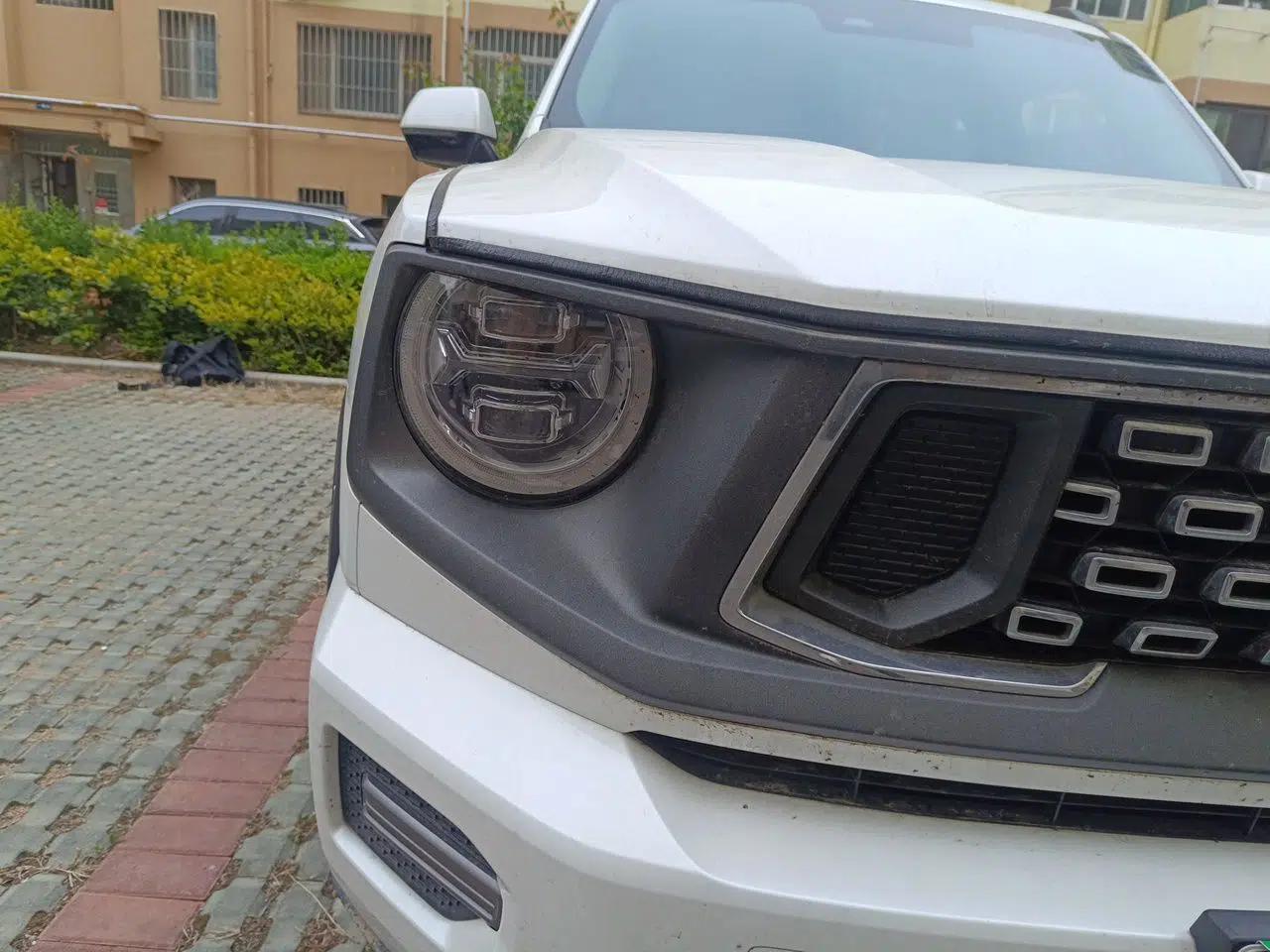 Haval H Dog New Energy 2023 DHT-PHEV 105km Tide Electric Version Plus — миниатюра 7
