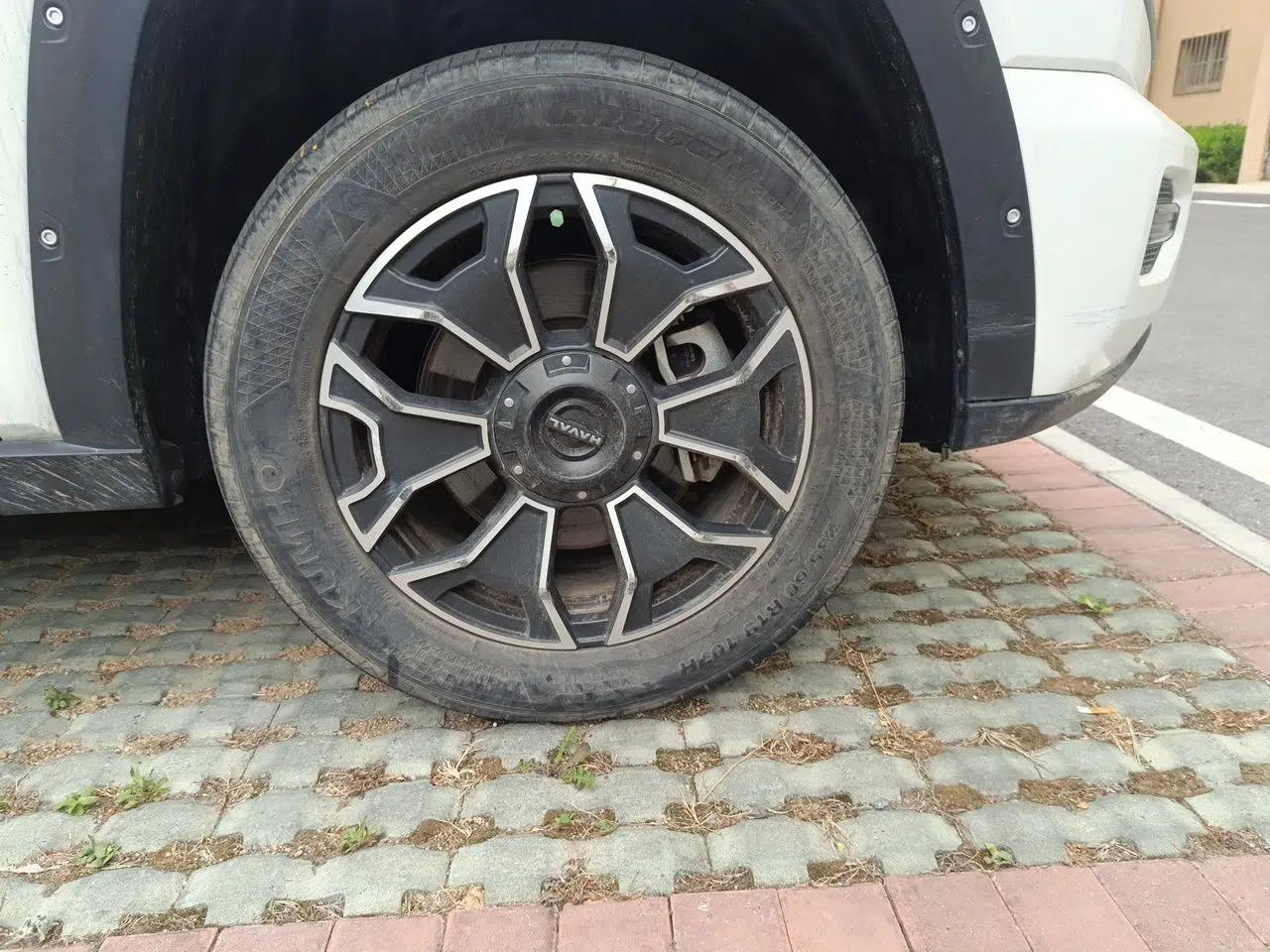Haval H Dog New Energy 2023 DHT-PHEV 105km Tide Electric Version Plus — миниатюра 8