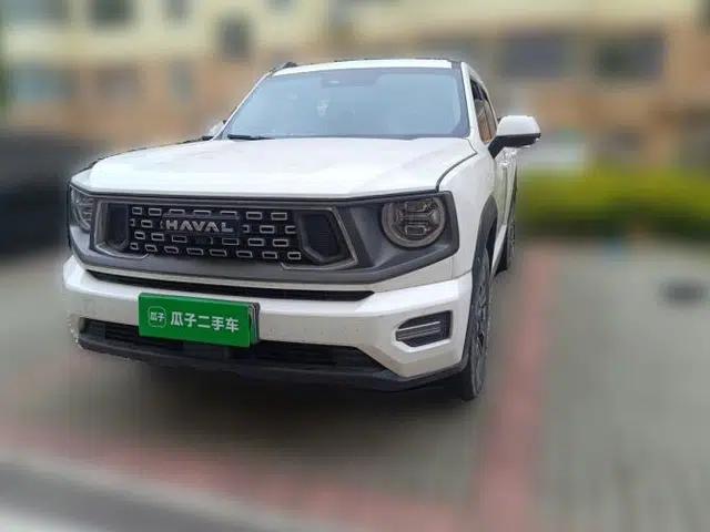 Haval H Dog New Energy 2023 DHT-PHEV 105km Tide Electric Version Plus