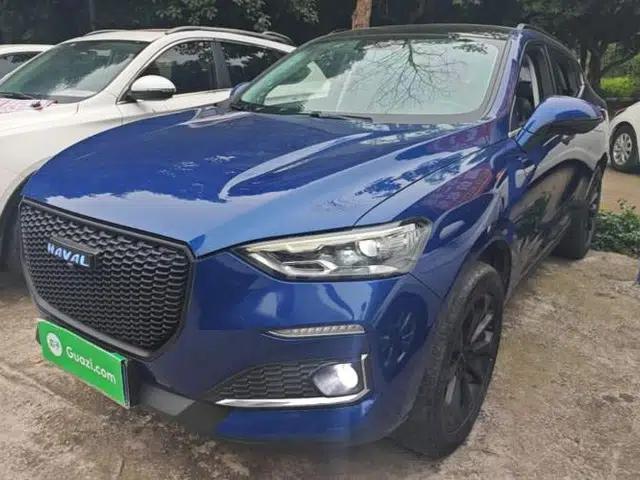 Haval F5 2019 National Trend Edition 1.5T i-Trend China VI Standard