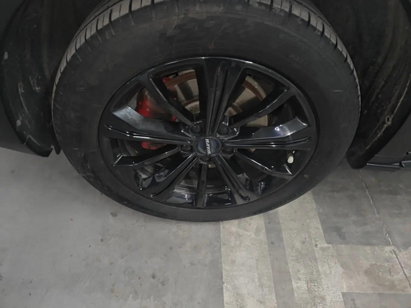 Haval H6S 2022 2.0T Two-Wheel Drive JoyRun Version — миниатюра 8