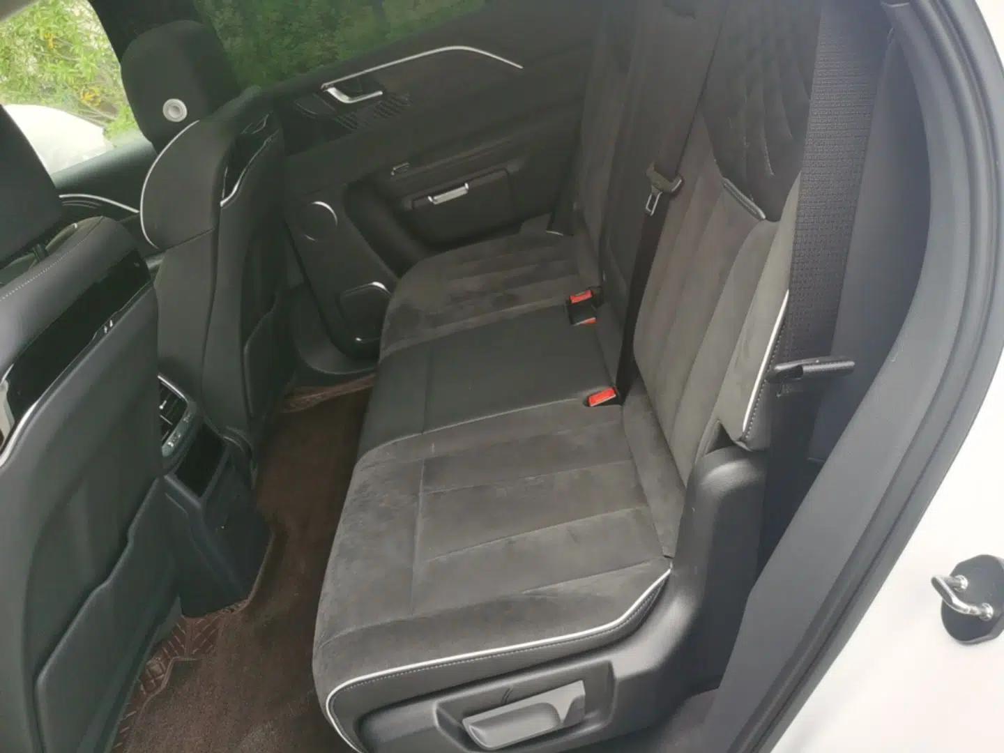 Hongqi E-HS9 2021 460 km Range Flagship Edition 7-Seater — миниатюра 20