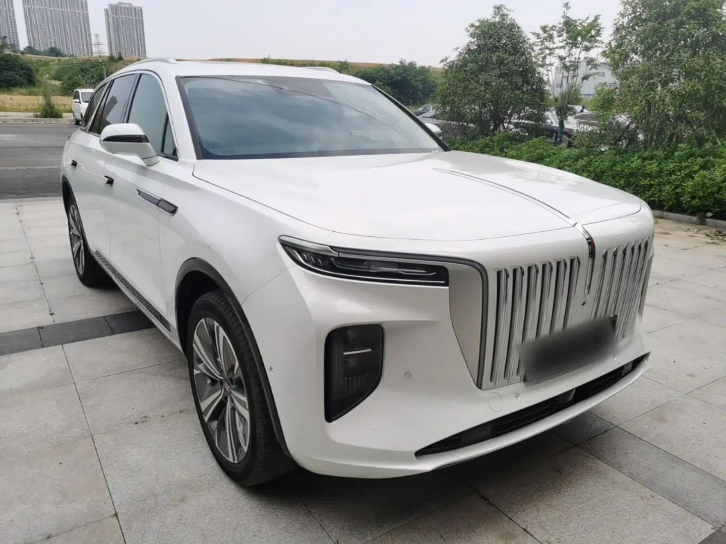 Hongqi E-HS9 2021 460 km Range Flagship Edition 7-Seater — миниатюра 3
