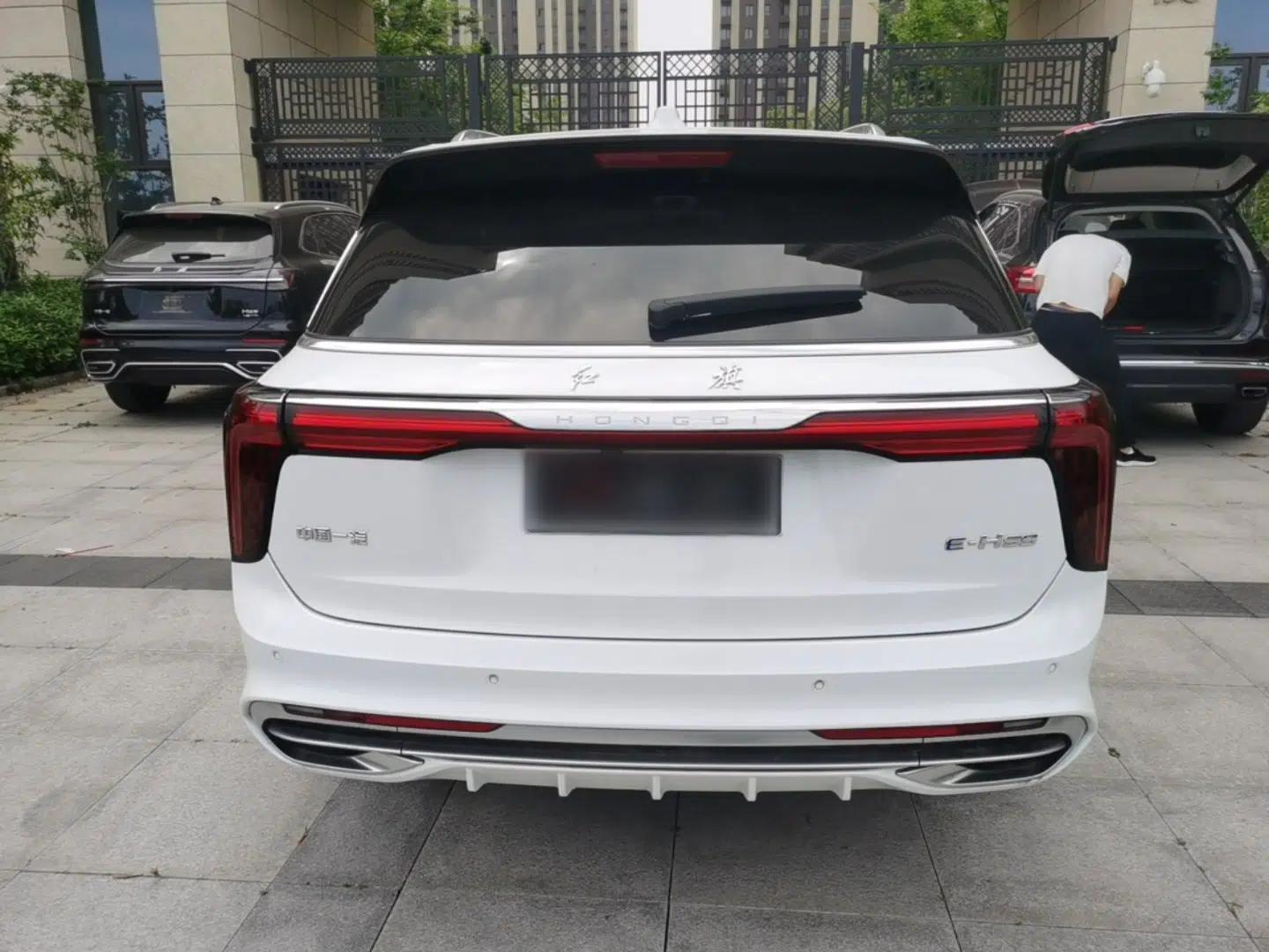 Hongqi E-HS9 2021 460 km Range Flagship Edition 7-Seater — миниатюра 5