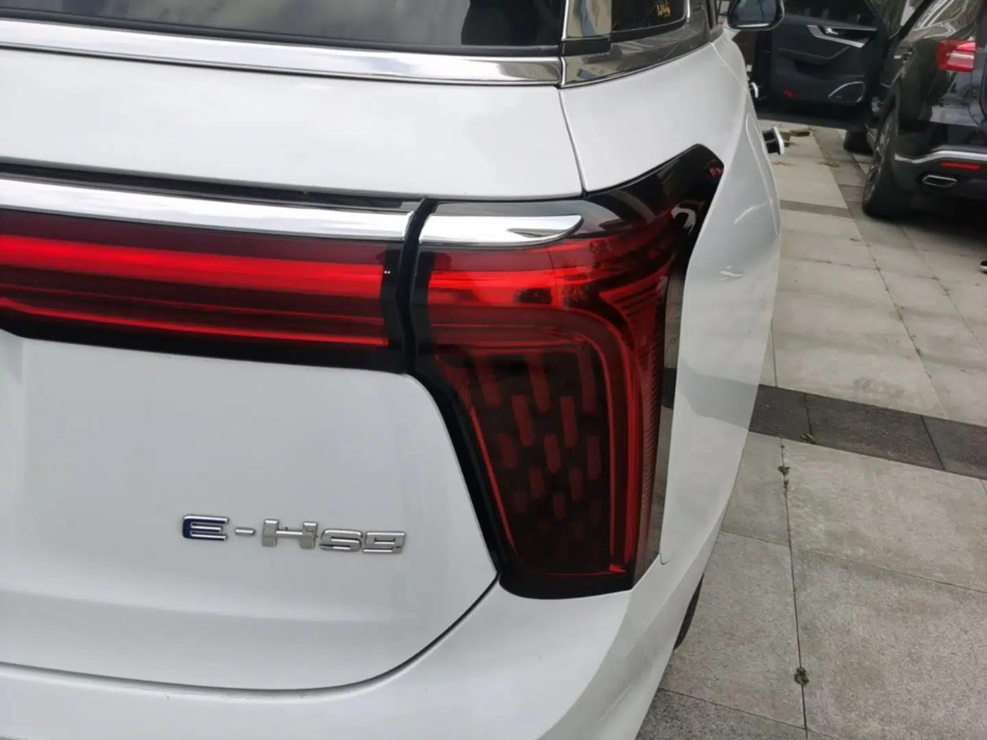 Hongqi E-HS9 2021 460 km Range Flagship Edition 7-Seater — миниатюра 7