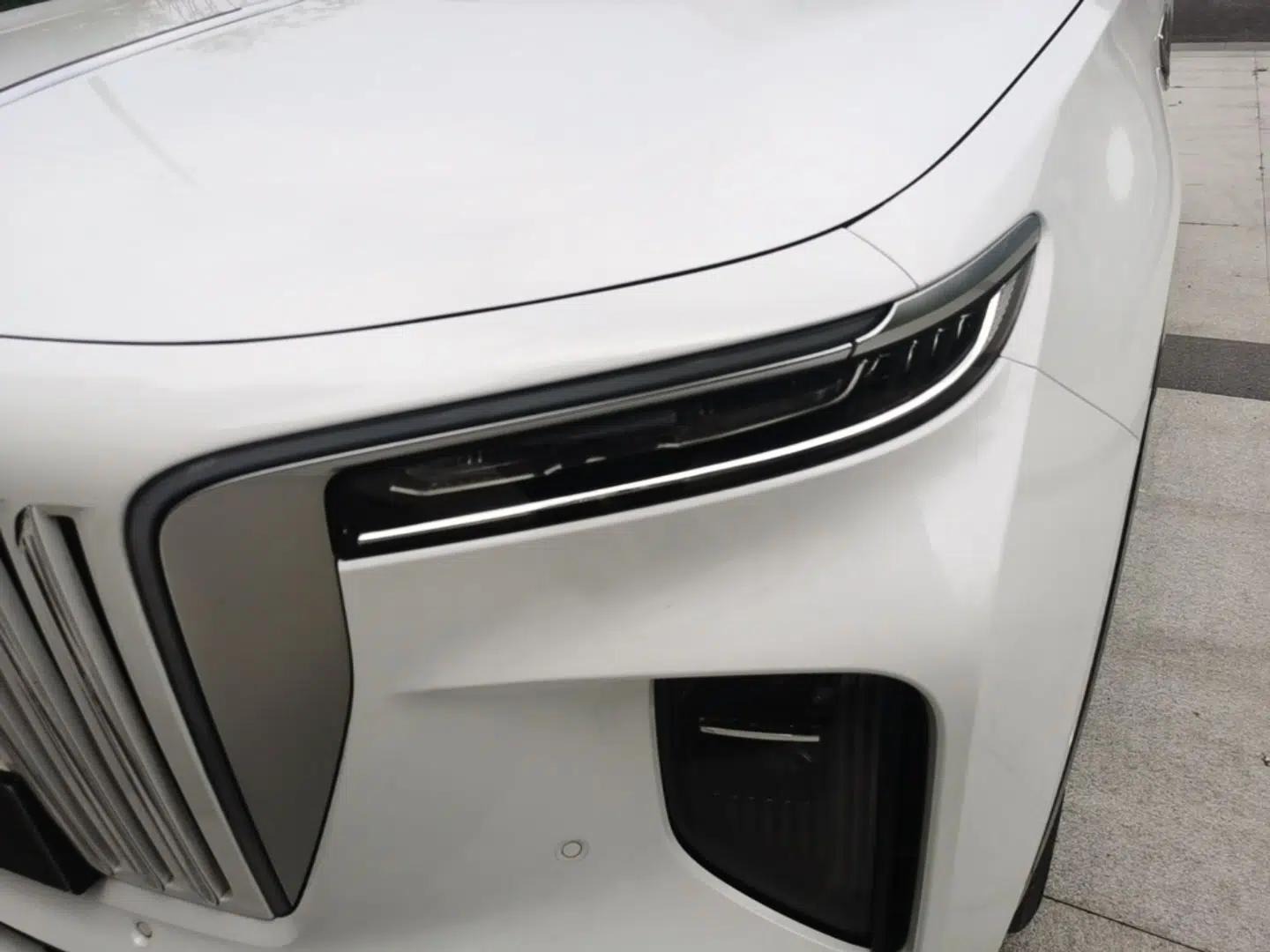 Hongqi E-HS9 2021 460 km Range Flagship Edition 7-Seater — миниатюра 9