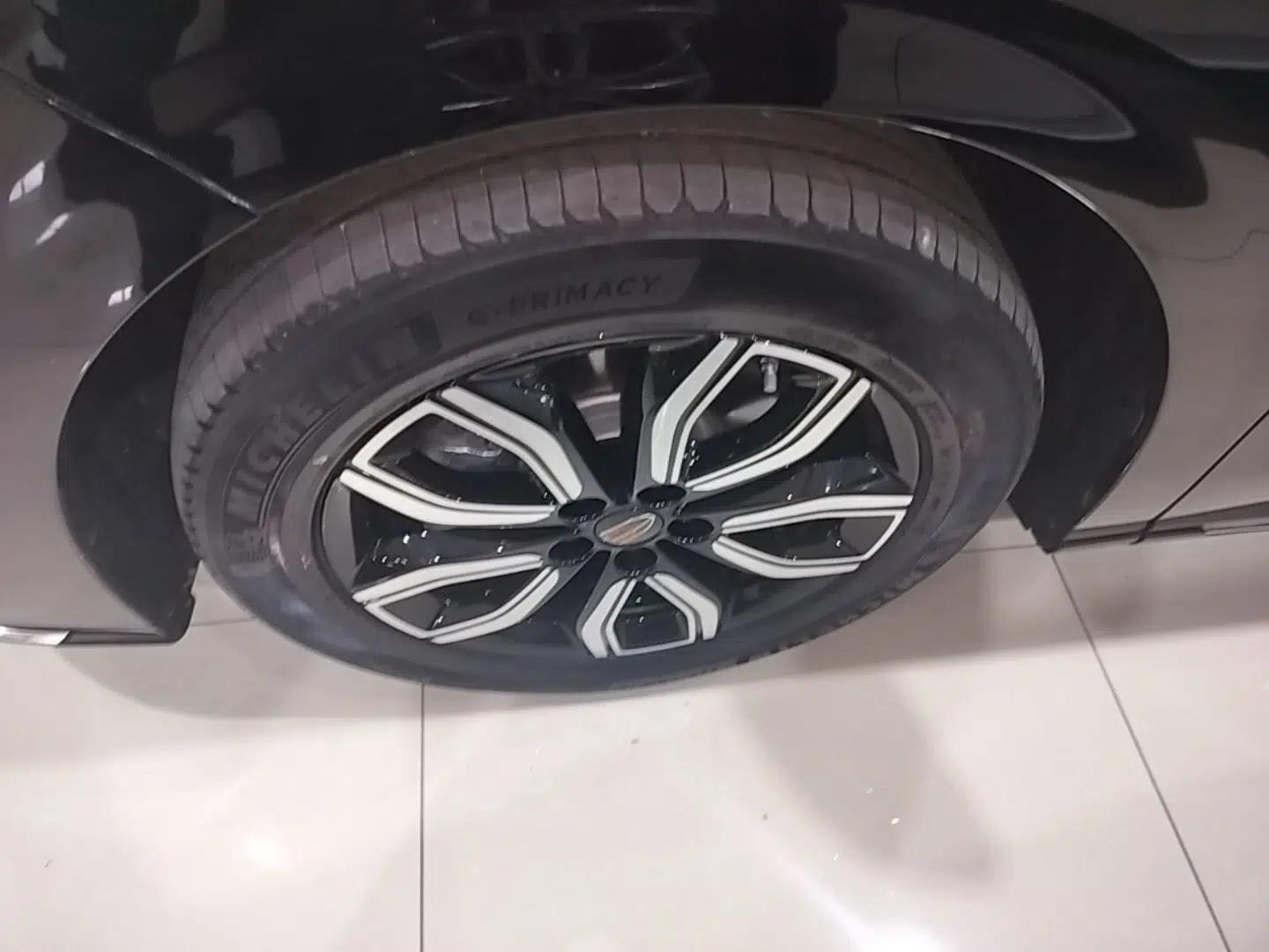 Hongqi HQ9 2023 2.0T Smart Connect Flagship Edition — миниатюра 8