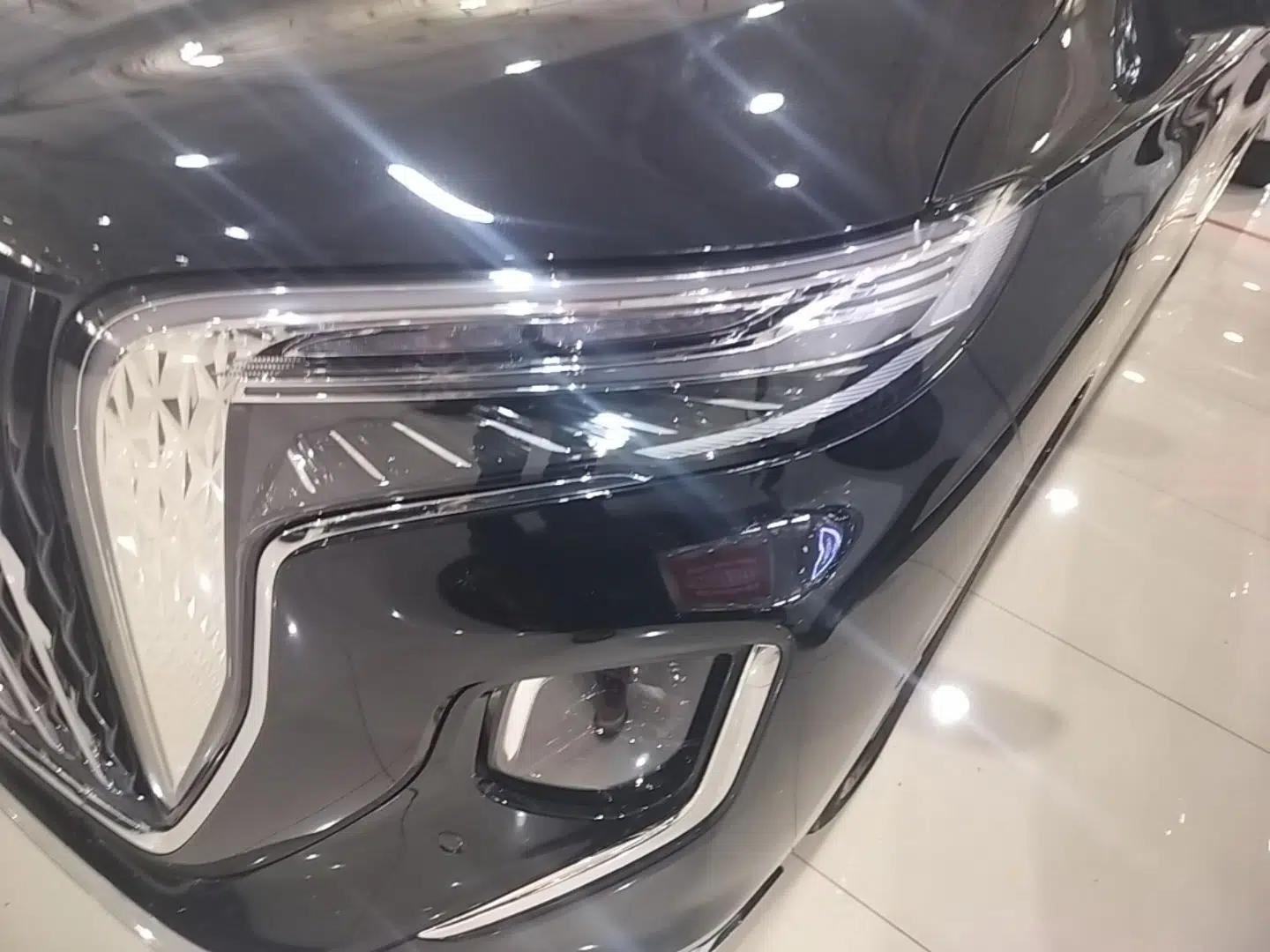 Hongqi HQ9 2023 2.0T Smart Connect Flagship Edition — миниатюра 9