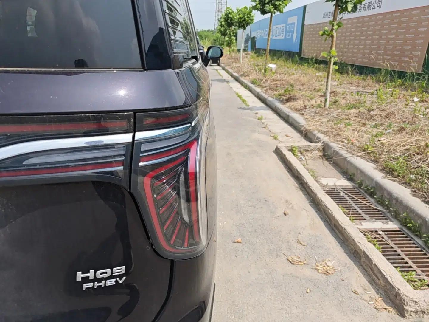 Hongqi HQ9 PHEV 2024 2.0T Four-Wheel Drive Business Edition — миниатюра 7