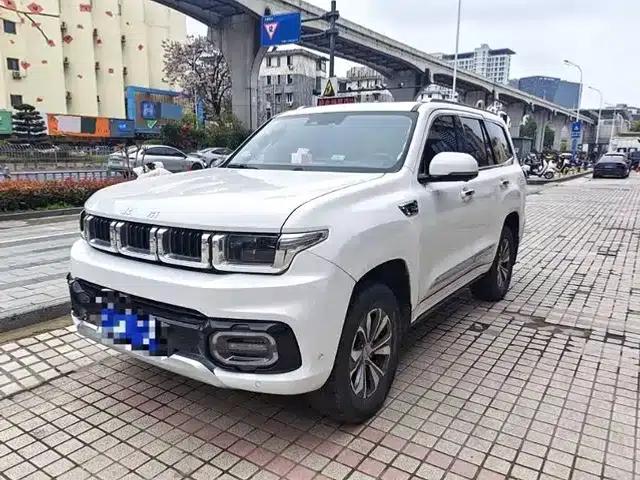 Beijing BJ60 2022 2.0T Eleventh Edition, Five-Seater