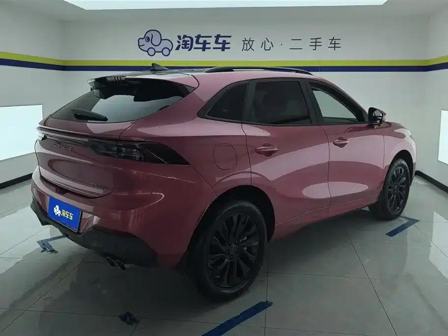 Fengxing T5 EVO 2021 1.5TD DCT Platinum Edition — миниатюра 3
