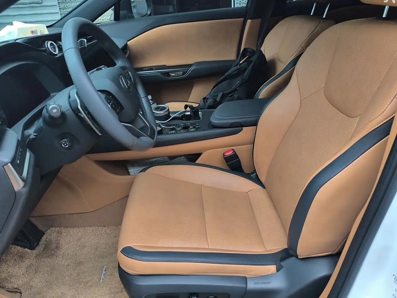 Lexus RZ 2023 450e All-Wheel Drive Luxury Edition — миниатюра 16