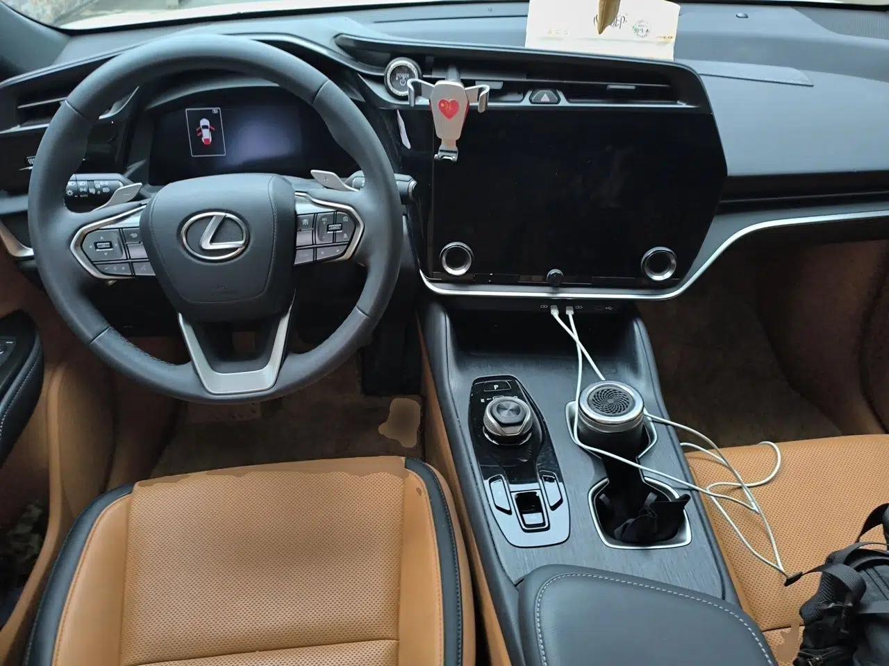 Lexus RZ 2023 450e All-Wheel Drive Luxury Edition — миниатюра 10
