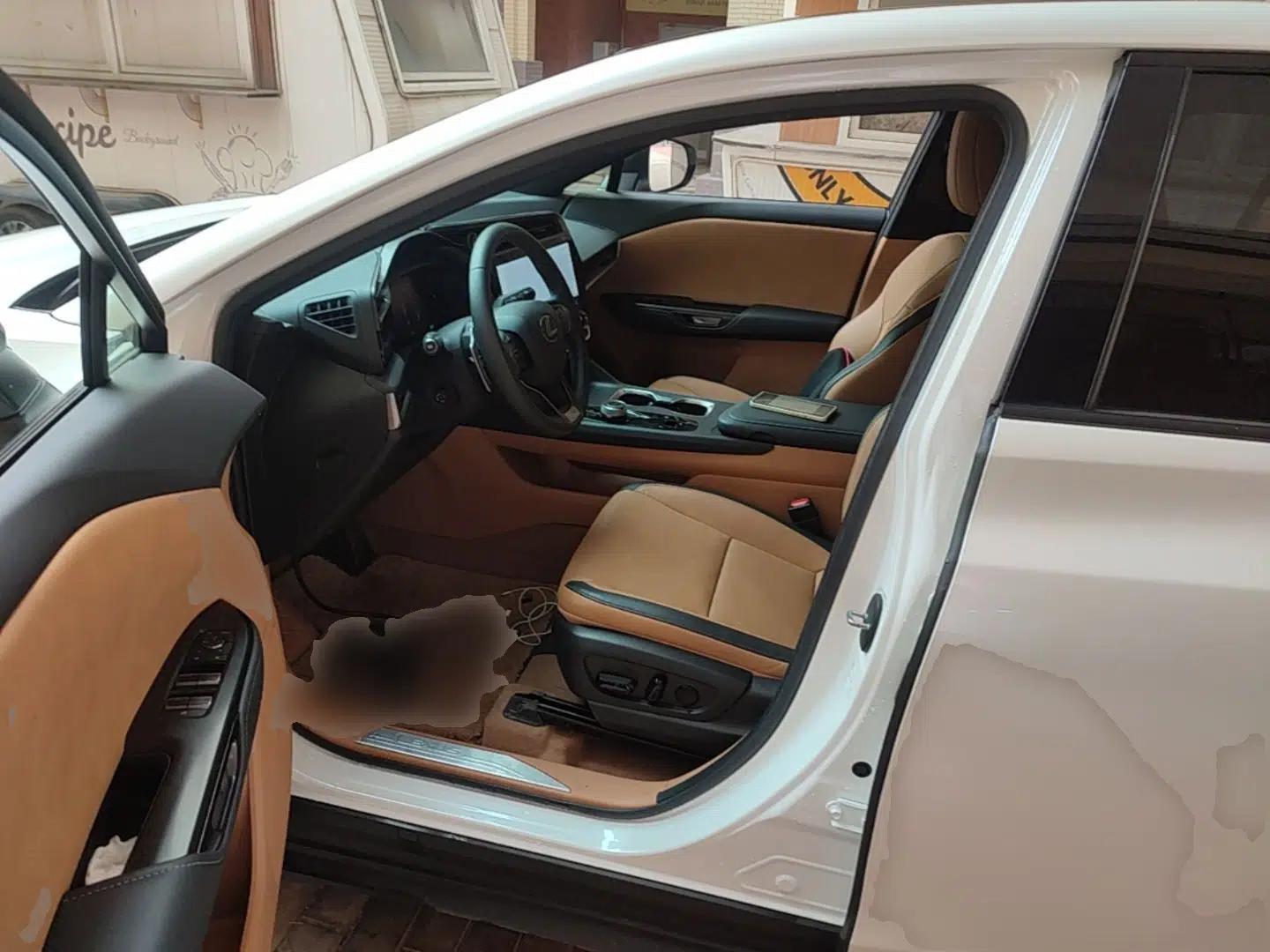 Lexus RZ 2023 450e All-Wheel Drive Luxury Edition — миниатюра 18