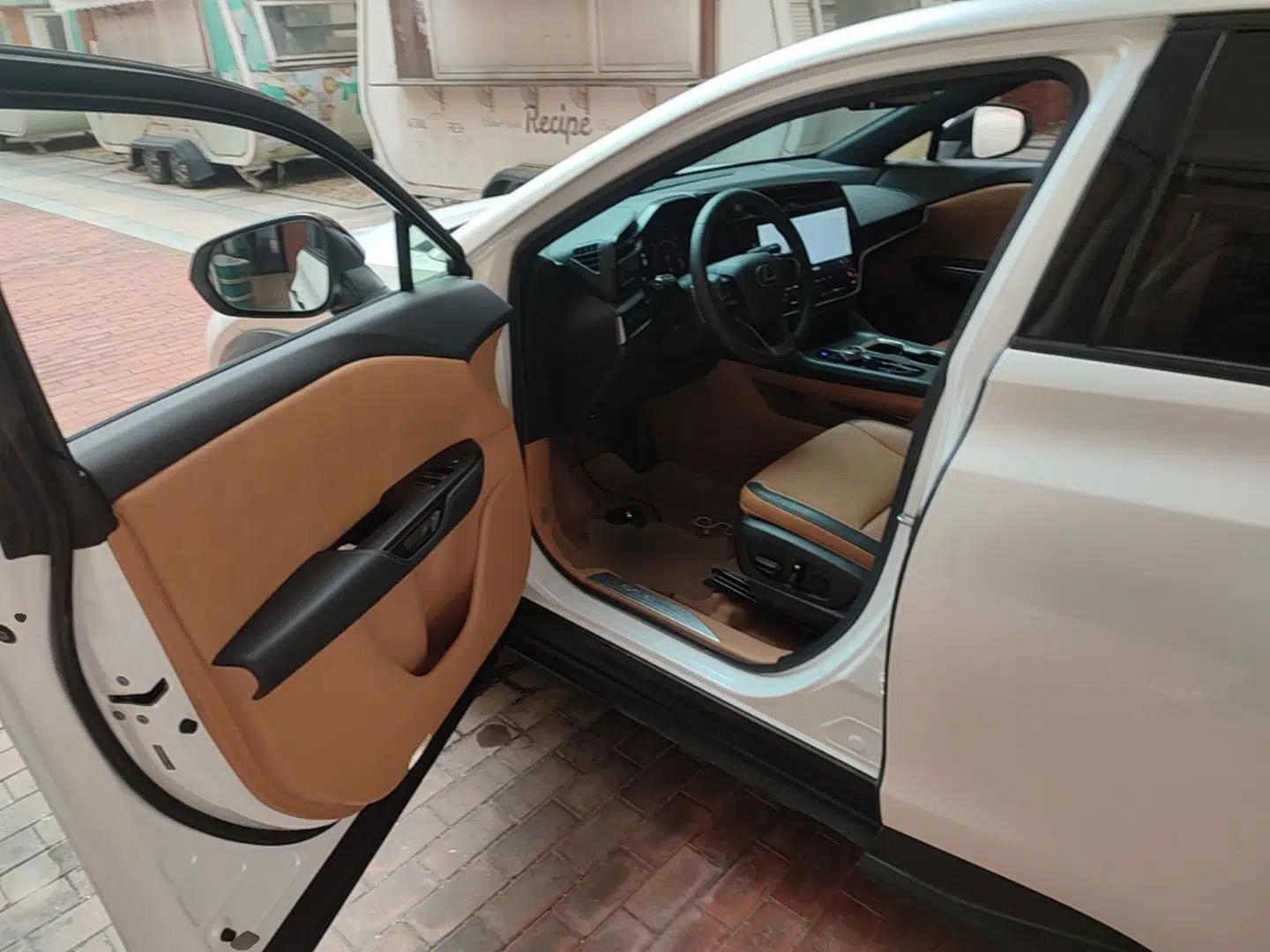 Lexus RZ 2023 450e All-Wheel Drive Luxury Edition — миниатюра 19