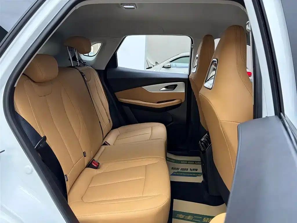 Xinghai T5 2026 Model 530km Premium Edition — миниатюра 17