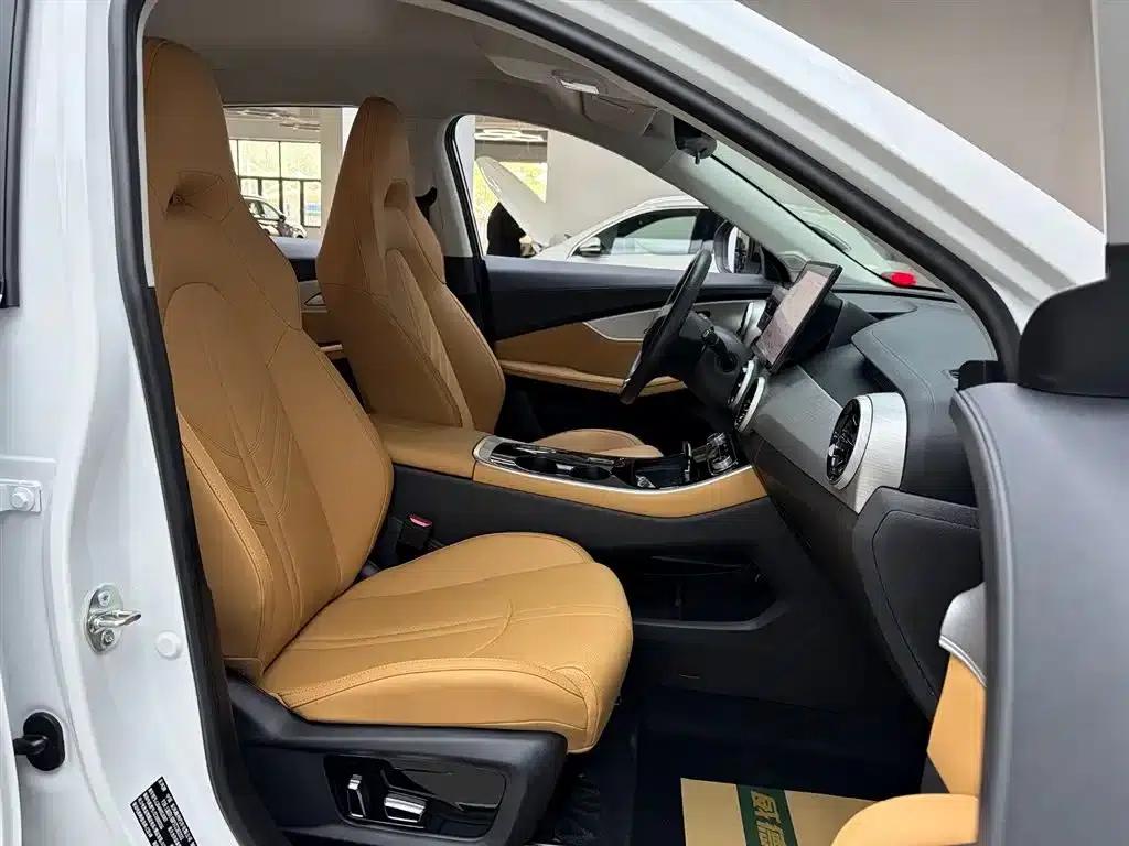Xinghai T5 2026 Model 530km Premium Edition — миниатюра 19