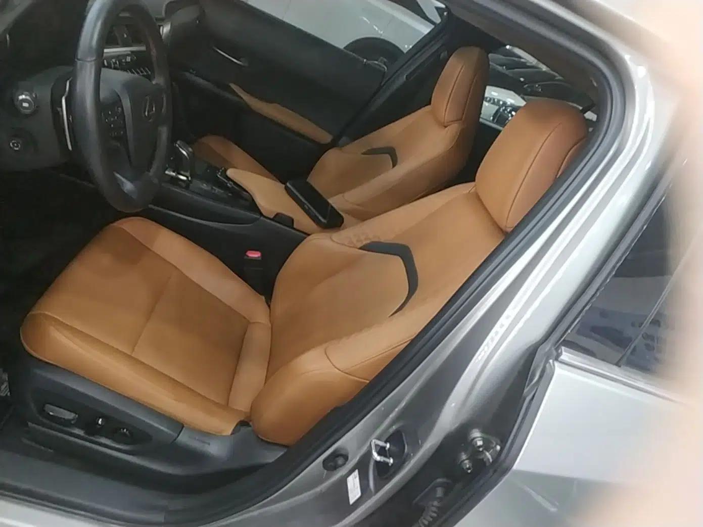 Lexus UX New Energy 2020 300e Pure·Joy Edition — миниатюра 18