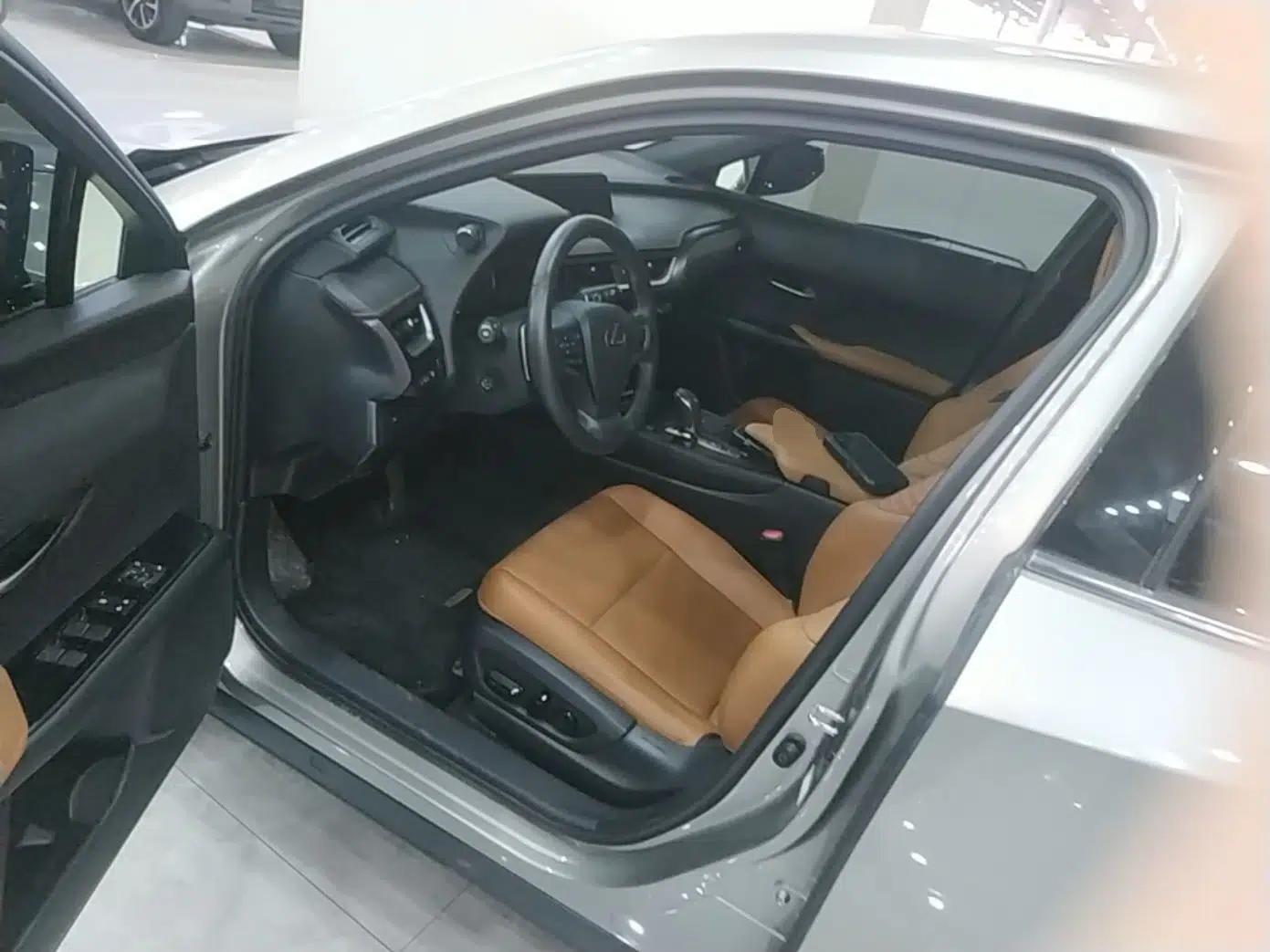 Lexus UX New Energy 2020 300e Pure·Joy Edition — миниатюра 19