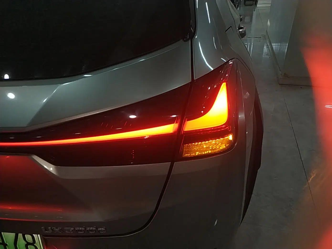 Lexus UX New Energy 2020 300e Pure·Joy Edition — миниатюра 7