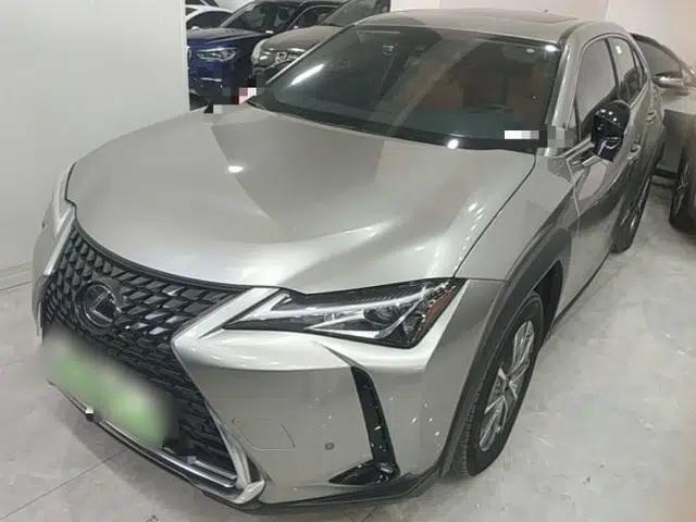 Lexus UX New Energy 2020 300e Pure·Joy Edition