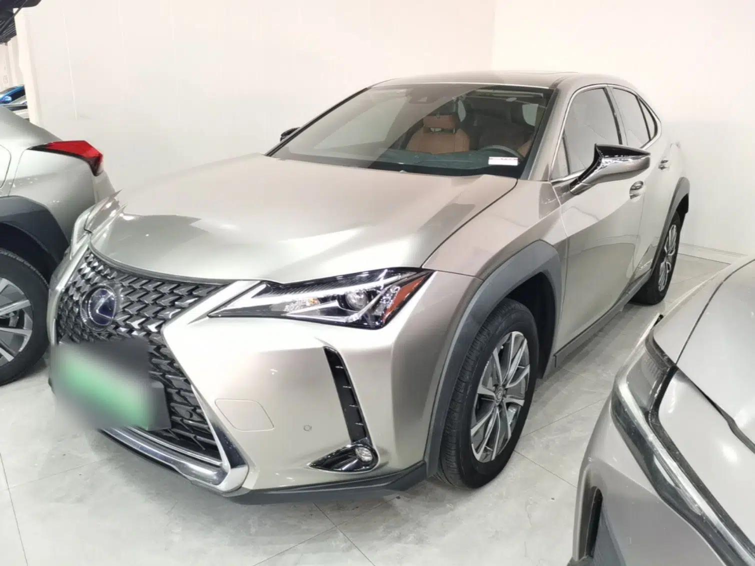 Lexus UX New Energy 2020 300e Pure·Joy Edition — миниатюра 1