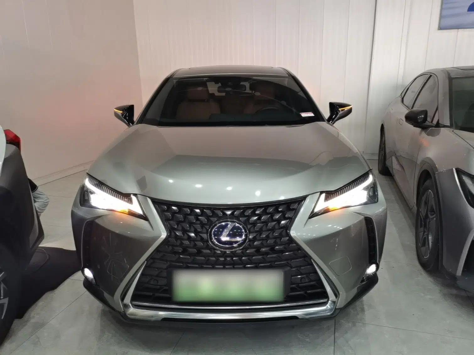 Lexus UX New Energy 2020 300e Pure·Joy Edition — миниатюра 2