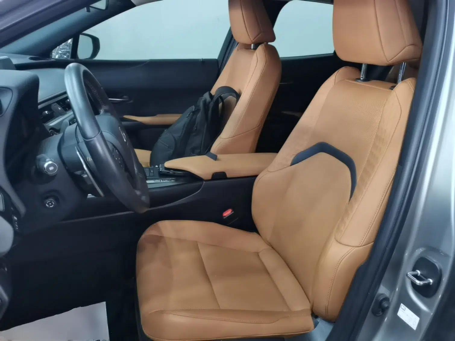 Lexus UX New Energy 2020 300e Pure·Joy Edition — миниатюра 18