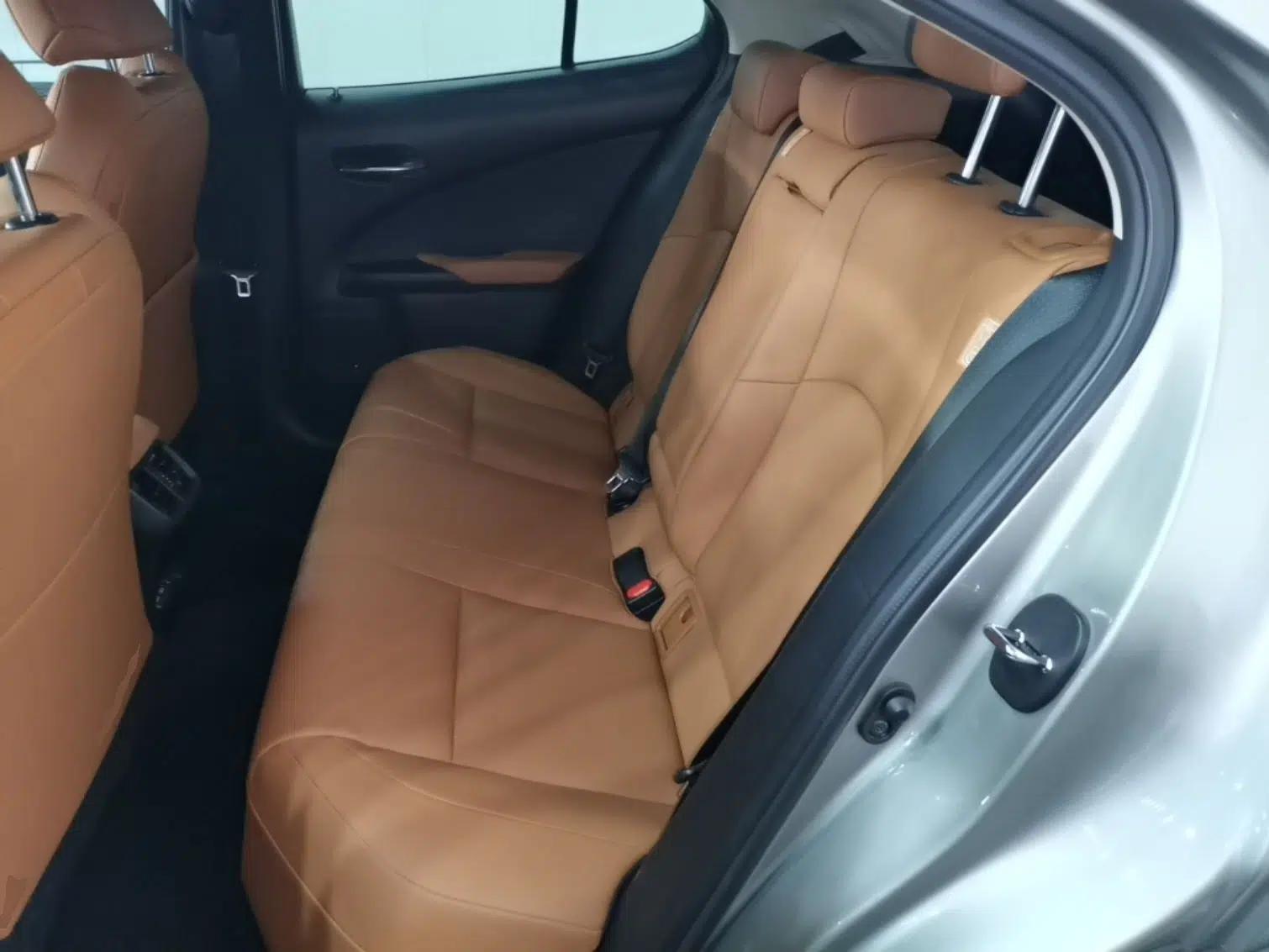Lexus UX New Energy 2020 300e Pure·Joy Edition — миниатюра 20