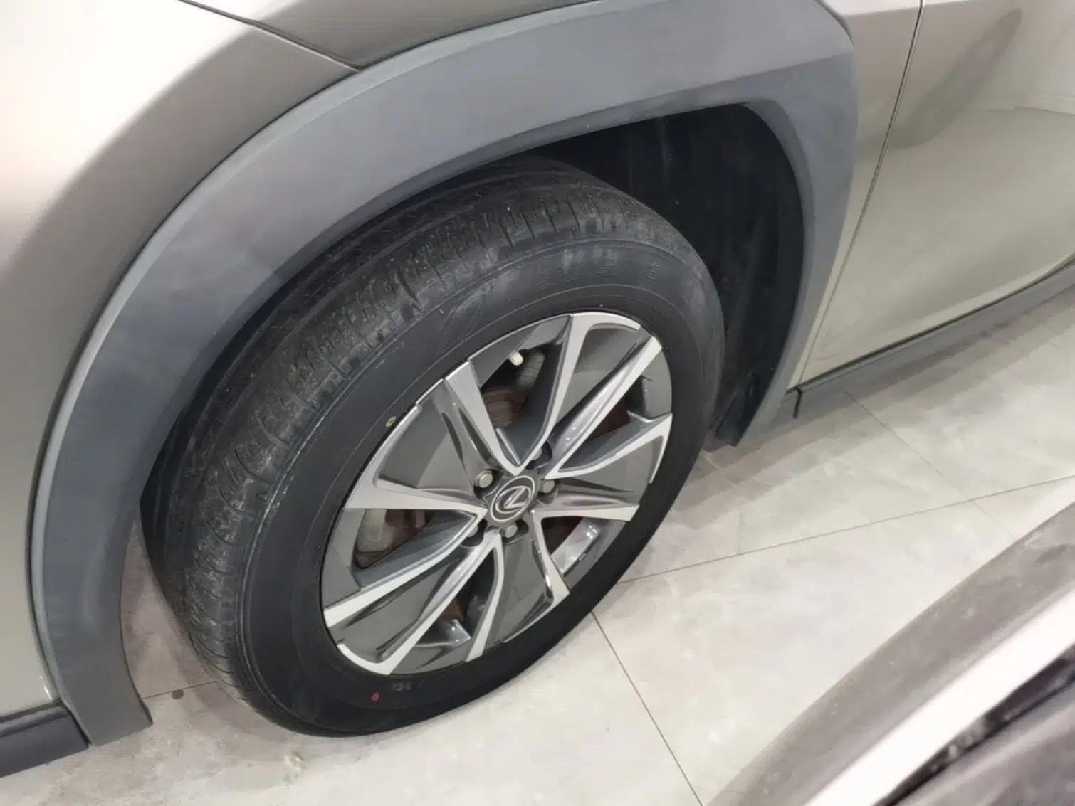 Lexus UX New Energy 2020 300e Pure·Joy Edition — миниатюра 8