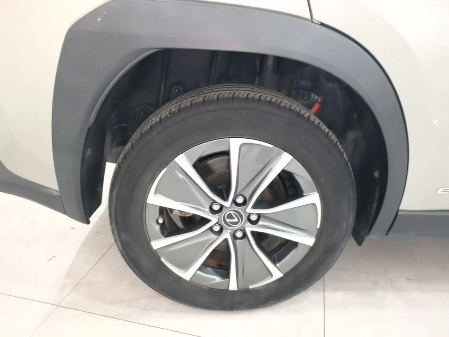 Lexus UX New Energy 2020 300e Pure·Joy Edition — миниатюра 10